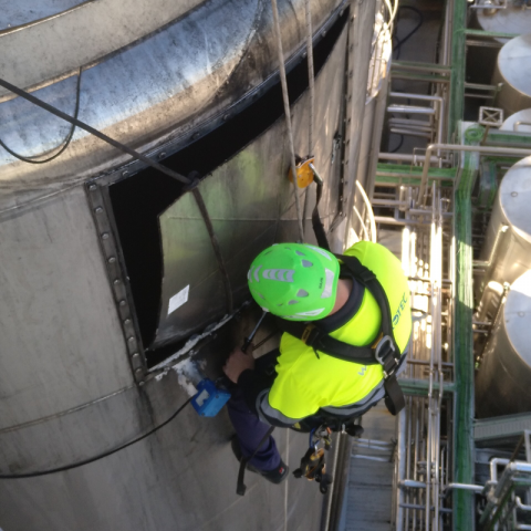 trabajadores verticales