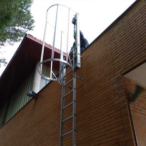 escalera vertical con protección dorsal