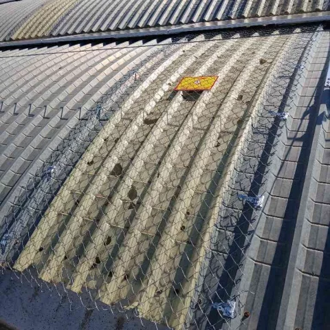 Instalación de Línea de Vida RoofAngel y Protección de Lucernarios