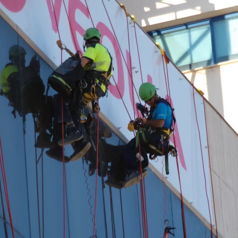 Workprotec: especialistas en Trabajos Verticales